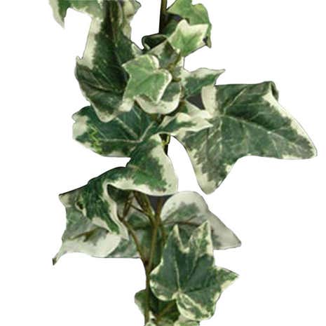 Artificial Holland Ivy Garland