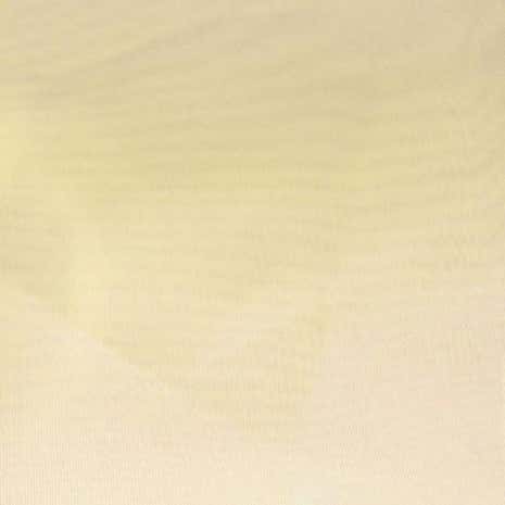 Charlotte Fabric