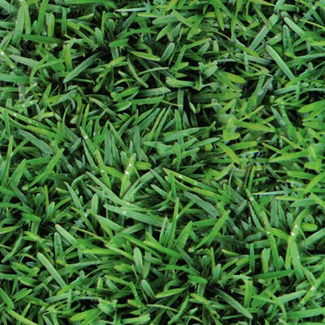 Grass Printed PVC Fabric