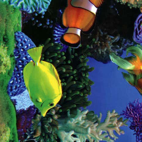Tropical Fish PVC Fabric