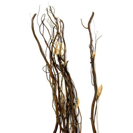 Light Up Branches