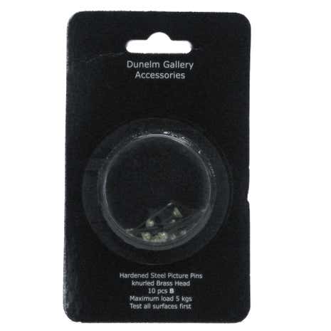 Pack of 10 Hardened Steal Picture Pins