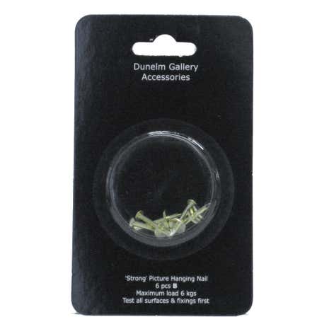 Pack of 6 Heavy Duty Brass Plated Hanging Nails and Washers