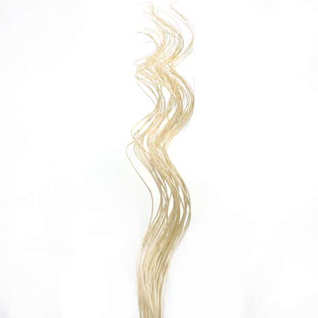Natural Flowers White Curly Willow
