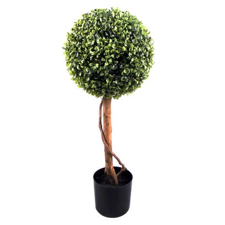 Boxwood Topiary Tree