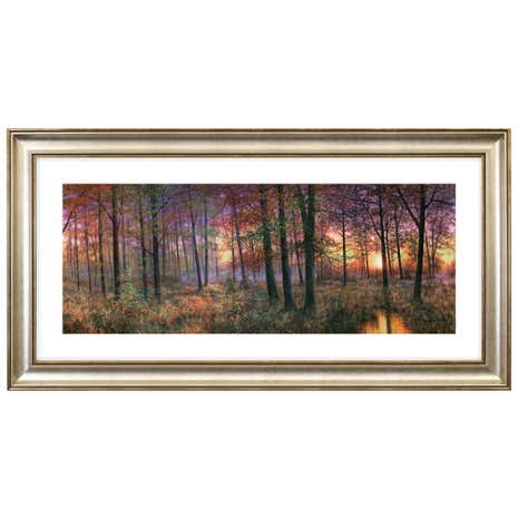 Dorma Golden Coppice Dawn Framed Print