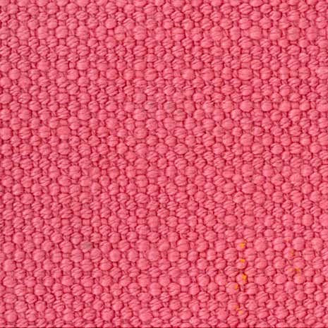 Coral Savanna Fabric