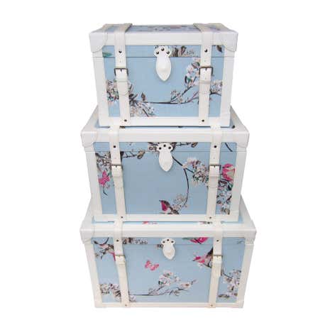 Beautiful Birds Duck-Egg Chest