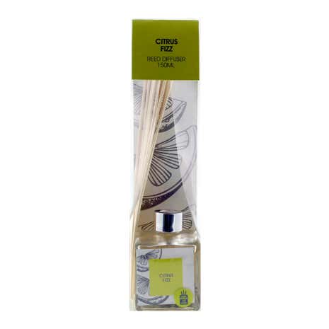Home Fragrance 150ml Citrus Fizz Reed Diffuser