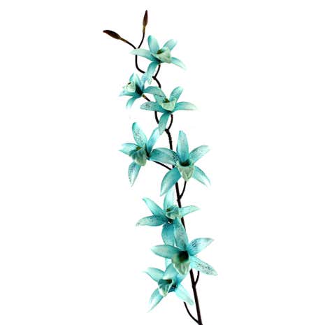 Duck-Egg Glitter Cymbidium