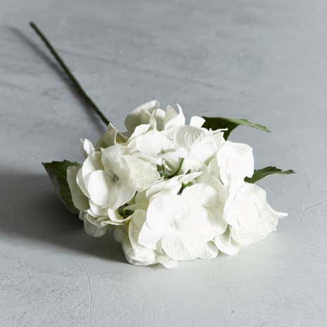 White Glitter Hydrangea