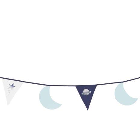 Space Mission Bunting