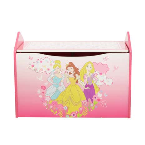 Disney Princess Toybox