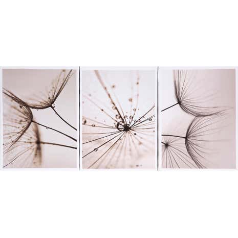Grey Dandelion Triptych Canvas