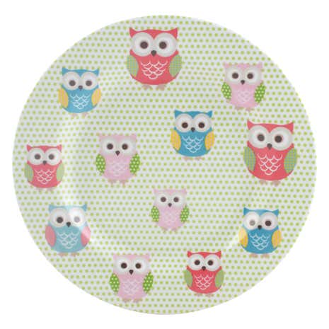 Pretty Owls Melamine Plate