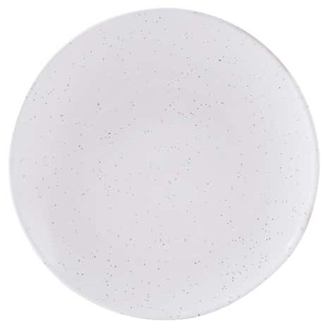 Speckle Dinner Plate