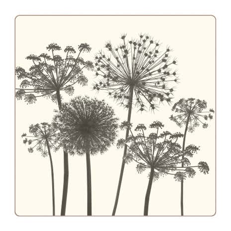 Set of 4 Sprig Placemats