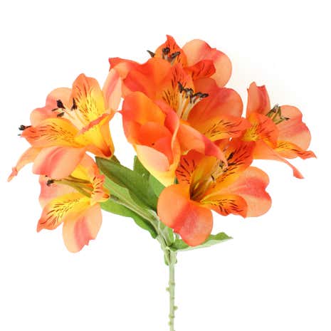Alstromeria Spray
