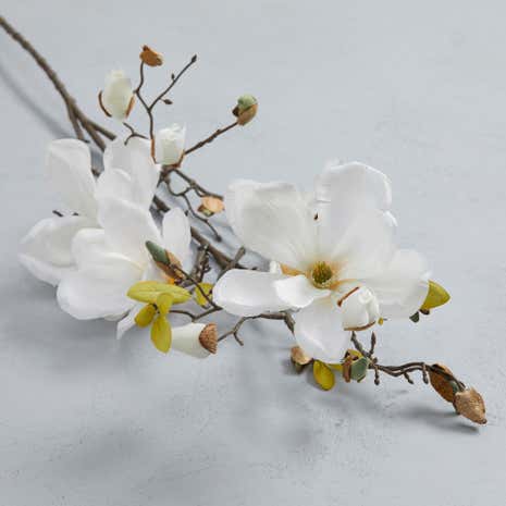 Magnolia Spray