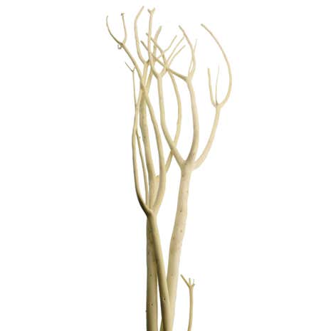 Natural Mitsumata Bundle