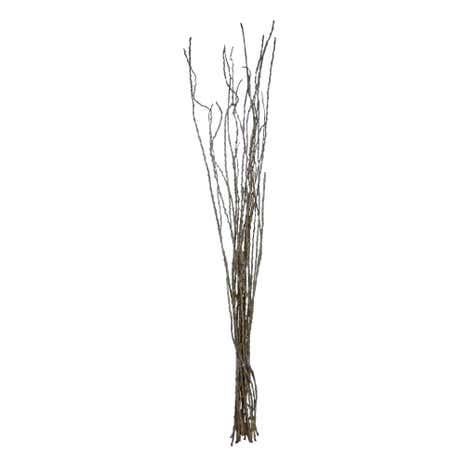 Natural Twig Bunch