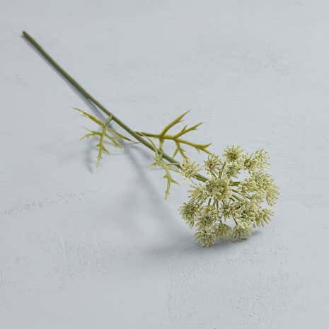 Queen Anne's Lace Flower