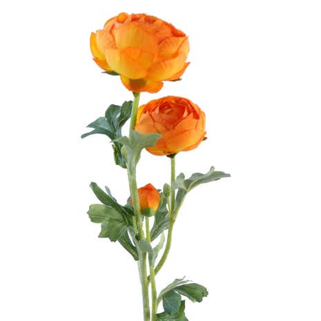 Ranunculus Spray