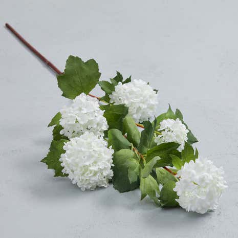 Cream Snowball Spray Flower