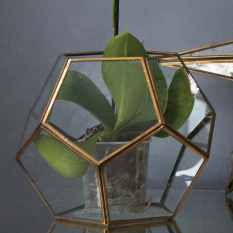 Gold Edged Glass Terrarium