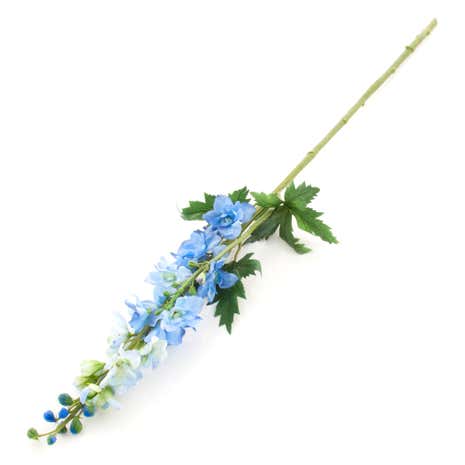 Dorma Blue Delphinium Stem