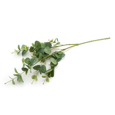 Dorma Artificial Eucalyptus Stem