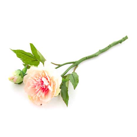 Dorma Artificial Peony Stem