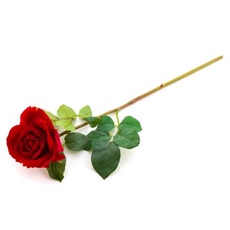 Dorma Artificial Rose Stem