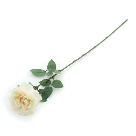 Dorma Artificial Sophia Rose Stem