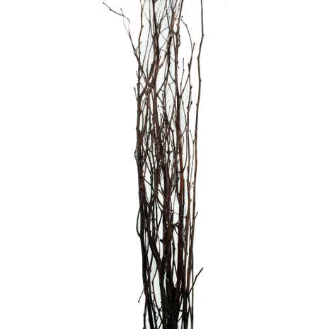 Natural Twig Bundle