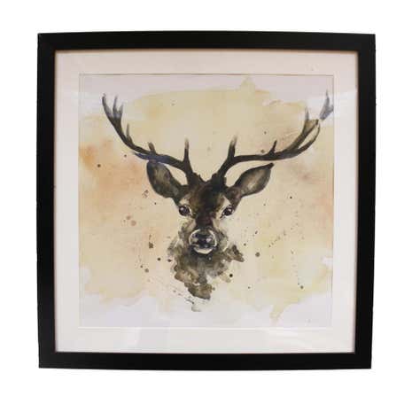 Stag Framed Print