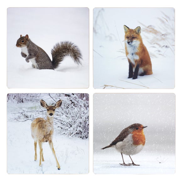 Set of 4 Photographic Animals Placemats
