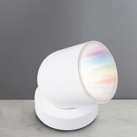 iDual Tulip Projector with Remote Control