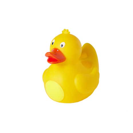 Duck Toothbrush Holder