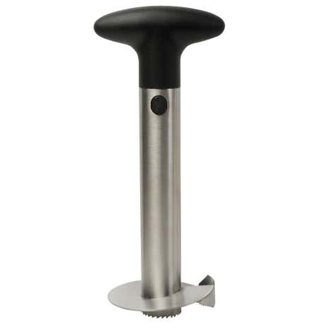 Healthy Living Pineapple Corer