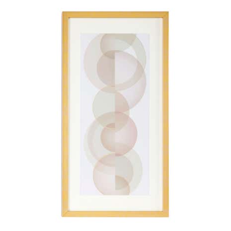 5A Fifth Avenue Circles Framed Print