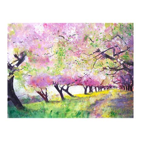 Teresa Tanner Orchard Blossom Canvas