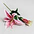 Pack of 12 Artificial Tiger Lily Pink Single Stem 75cm Pink