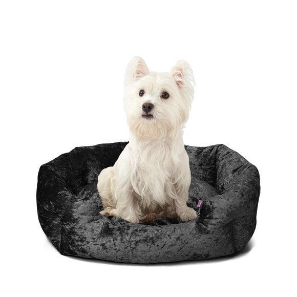 dog beds dunelm