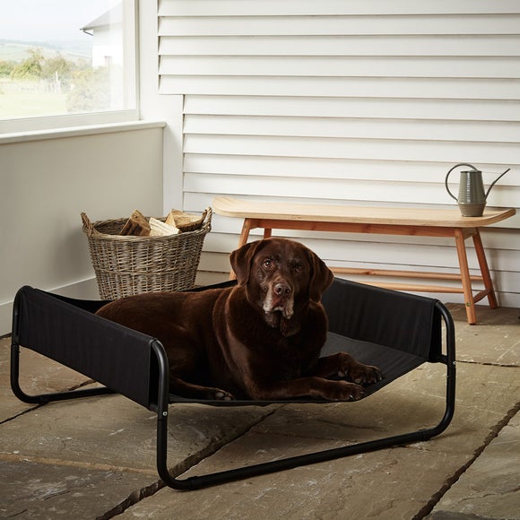 bunty raised dog bed