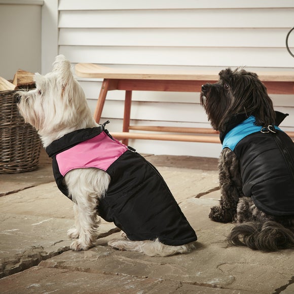 tomahawk bone for dog