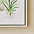 Set of 3 Plants Canvases MultiColoured