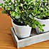 Artificial Herbs in Tray 19cm Green