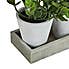 Artificial Herbs in Tray 19cm Green
