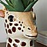 Ceramic Giraffe Head Planter 12cm Brown